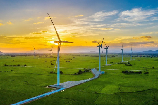Chủ dự án nhà máy điện gió 1.100 tỷ đồng tại Quảng Trị xin gia hạn tiến độ