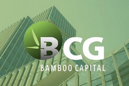 Bamboo Capital (BCG) thành công nâng vốn điều lệ lên 8.000 tỷ