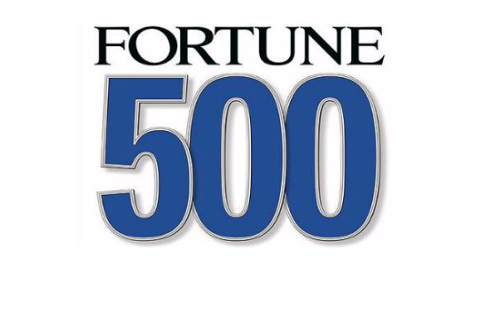 Bất ngờ với Fortune SEA 500: HDB, SHB, TCB, VPB... cùng VietinBank, BIDV lọt bảng xếp hạng