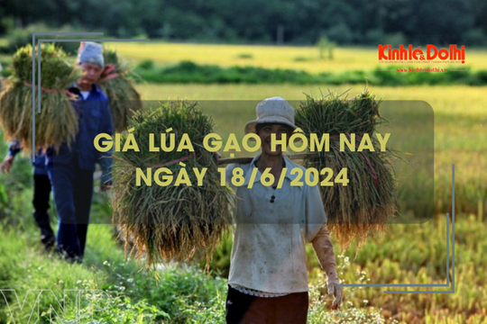 Giá lúa gạo hôm nay 18/6/2024: giá gạo giảm nhẹ 100 đồng/kg