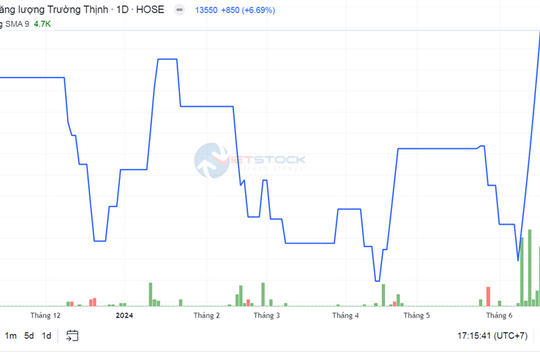 Năng lượng Trường Thịnh: Cổ phiếu tăng trần 6 phiên liên tiếp, làm ăn đi lùi
