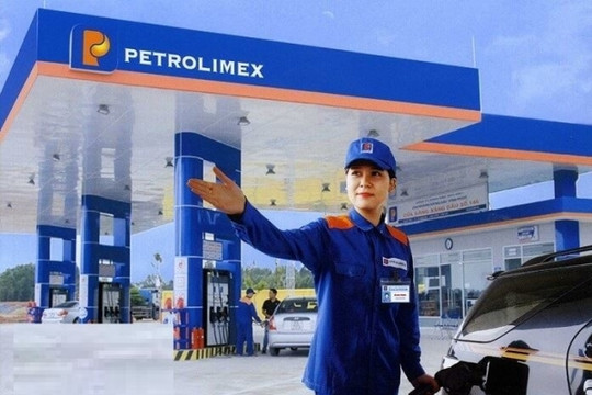 Petrolimex bất ngờ dẫn đầu trong 70 doanh nghiệp Việt được xướng tên tại Fortune SEA 500