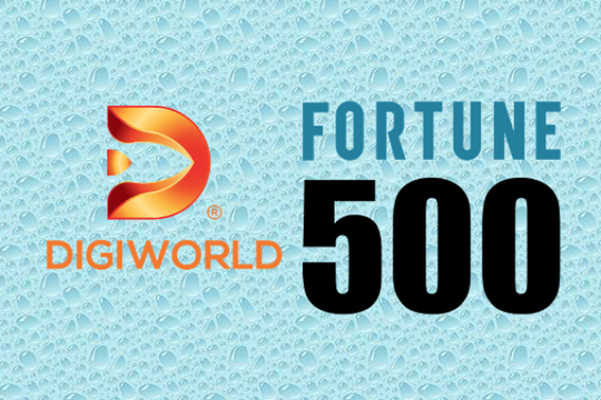 Fortune SEA 500: Cột mốc đặc biệt trên hành trình trở thành doanh nghiệp tỷ USD của Digiworld