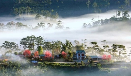 Ngôi làng ẩn trong sương duy nhất Việt Nam được chọn làm bối cảnh chính của phim điện ảnh trăm tỷ