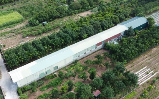 Thủ đô Hà Nội xem xét thu hồi dự án khu nông nghiệp công nghệ cao hơn 70ha đã 'đứng hình' gần chục năm