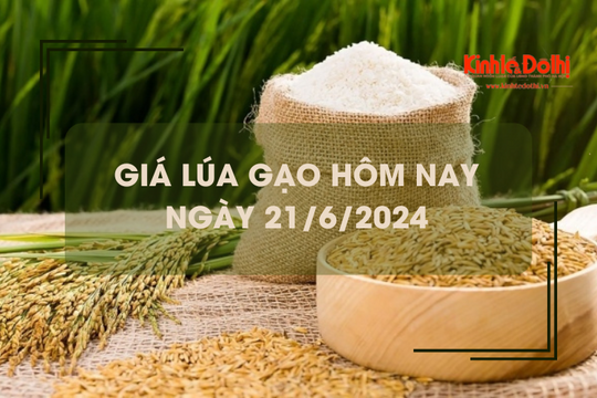 Giá lúa gạo hôm nay 21/6/2024: giá lúa giảm mạnh, giá gạo biến động trái chiều