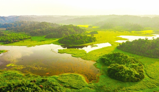 Vườn Quốc gia đầu tiên ở Việt Nam đạt danh hiệu Danh lục Xanh của IUCN
