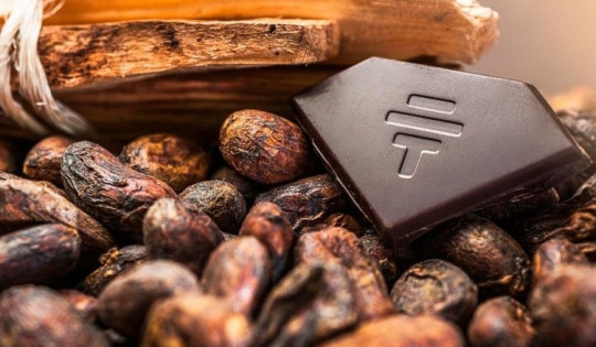 Có gì trong miếng socola giá 17 triệu đồng, làm từ loại cacao có tuổi thọ 5.300 năm?