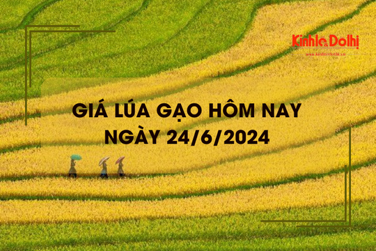 Giá lúa gạo hôm nay 24/6/2024: giá gạo tăng nhẹ 50 đồng/kg