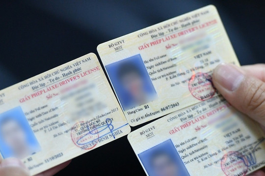 Mất giấy phép lái xe có được cấp lại?