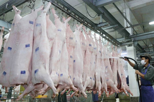 Chất lượng an toàn thực phẩm: Cảnh báo từ các cơ sở giết mổ động vật