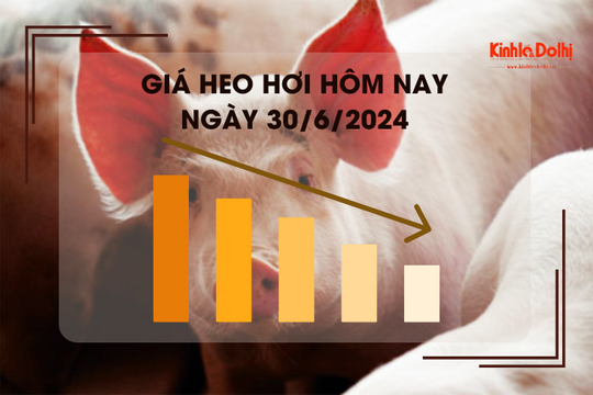 Giá heo hơi hôm nay 30/6/2024: giá heo tại Hà Nội neo ở mức 68.000 đồng/kg
