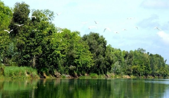 Đồng bằng sông Cửu Long sẽ có thêm 2 hồ chứa nước ngọt dung tích hơn 1 tỷ m3?