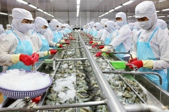 ‘Giảm Mỹ, tăng Nhật’, công ty thủy sản nhà PAN Group báo doanh số 95 triệu USD sau nửa đầu năm 2024