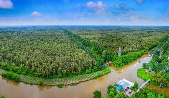 'Lột xác' từ 'vùng đất chết', khu bảo tồn đa dạng sinh học độc đáo là 'lá phổi xanh' của vùng đồng bằng lớn nhất Việt Nam