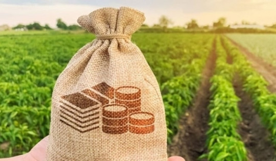 Từ năm 2026, đất nông nghiệp có khả năng được miễn thuế sử dụng đất
