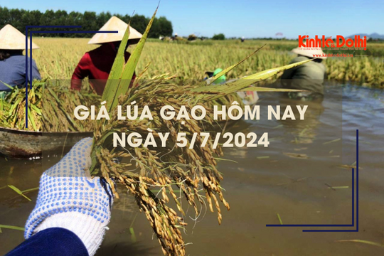 Giá lúa gạo hôm nay 5/7/2024: giá gạo tăng 50 - 100 đồng/kg