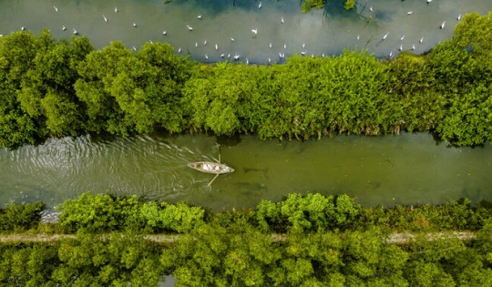 ‘Ốc đảo xanh’ được ví như ‘vùng sông nước miền Tây’ giữa lòng Bình Định, chỉ cách Quy Nhơn 15km