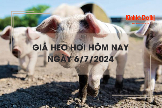 Giá heo hơi hôm nay 6/7/2024: Bình Định tiếp tục neo ở mức giá thấp 61.000 đồng/kg