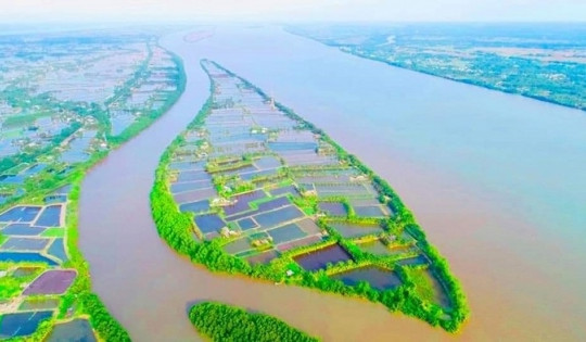 'Ốc đảo xanh' giữa dòng Cổ Chiên, nói không với 'bê tông hóa' vẫn hút hồn du khách