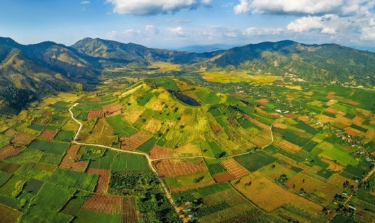 Một huyện vùng Tây Nguyên 'thắng lớn' nhờ một loại quả, thu về 6.500 tỷ đồng