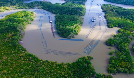 ‘Kho báu xanh’ đầu tiên của Việt Nam được thế giới công nhận nằm ngay tại TP. HCM, được quy hoạch thành ‘đô thị trong rừng’