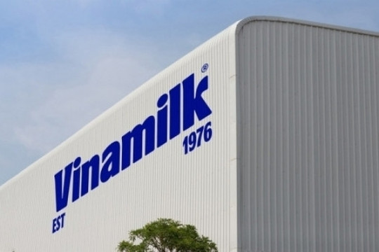 Khối ngoại mua lượng lớn cổ phiếu Vinamilk (VNM) trong ngày thị trường ‘đỏ lửa’