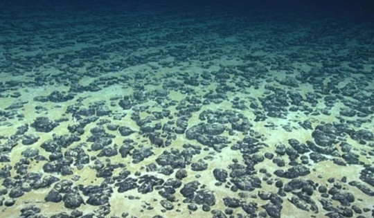 Tìm thấy ‘nhà máy’ sản xuất oxy nằm ở độ sâu 4.000m dưới mặt biển, mở ra hướng nghiên cứu mới về khả năng sinh sống ngoài Trái Đất