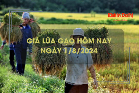 Giá lúa gạo hôm nay 1/8/2024: giá gạo tiếp đà tăng