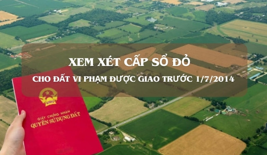 Đất vi phạm được giao trước ngày 1/7/2014 sẽ được xem xét cấp sổ đỏ