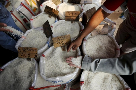 Doanh nghiệp gạo Việt thắng thầu số lượng lớn với 'giá ngon' từ Indonesia