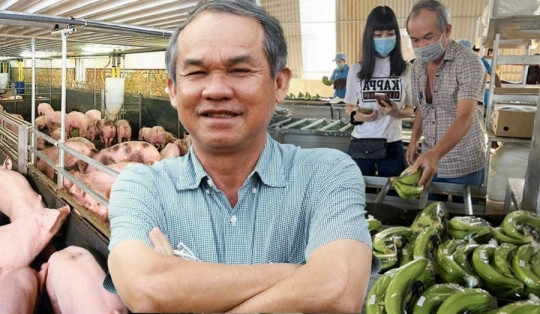 AI NEWS - Nền tảng tin tức chứng khoán