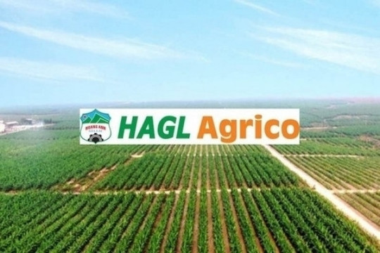 HAGL Agrico: Hơn 1,1 tỷ cổ phiếu HNG rời sàn HoSE từ 6/9