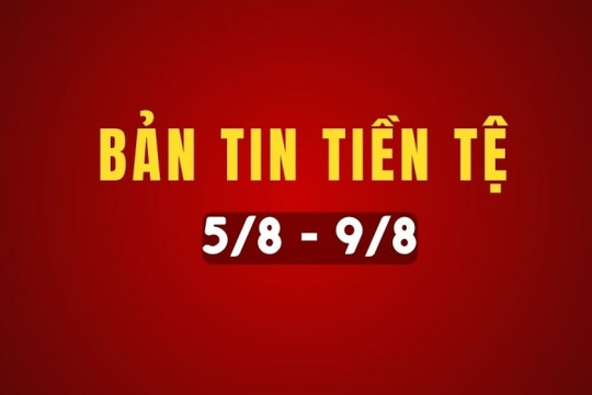 Bản tin tiền tệ 5/8 - 9/8: NHNN hạ lãi suất trên thị trường mở, tỷ giá hạ nhiệt