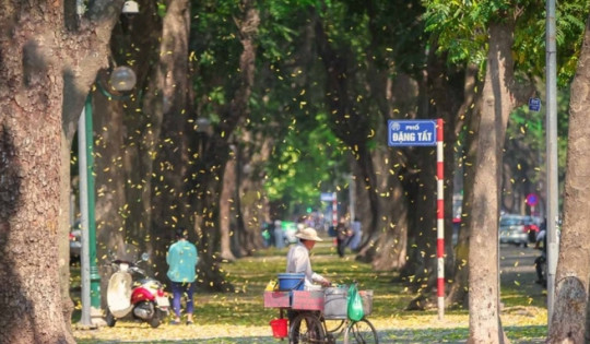 Những tuyến đường phố mang tên cha - con, ông - cháu giữa lòng Thủ đô, người Hà Nội chưa chắc đã biết