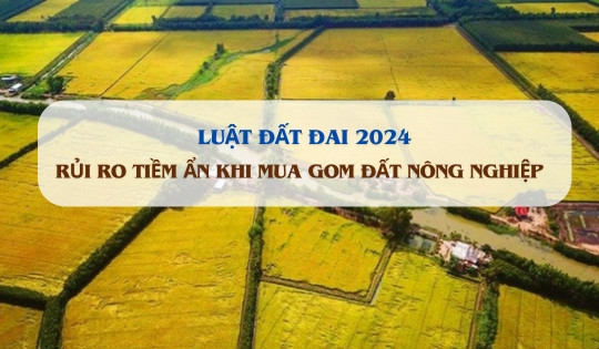 Mua gom đất nông nghiệp tiềm ẩn những rủi ro gì?