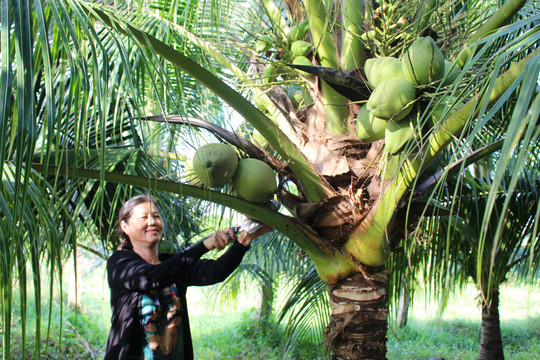 Thương mại nông sản Việt Nam – Trung Quốc nhiều cơ hội mở rộng