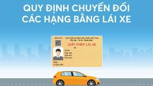 Infographics: Quy định chuyển đổi các hạng bằng lái xe từ 1/1/2025