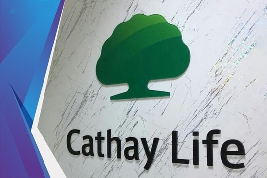 Bảo hiểm Cathay Life ‘ngược dòng’ báo lãi nhờ đầu tư tài chính