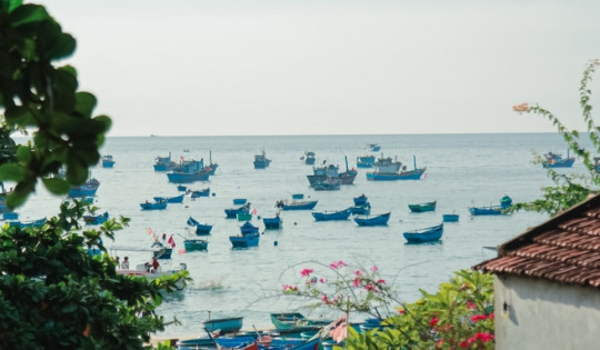 Tận thấy cuộc sống bình yên nơi làng chài ven biển đẹp nhất xứ ‘hoa vàng cỏ xanh’