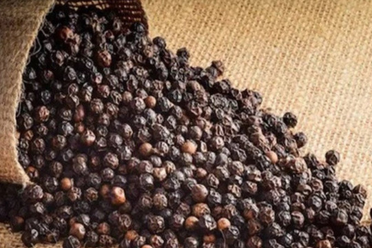 Giá tiêu hôm nay 27/8: Gia Lai thêm 500 đồng/kg, tiêu Indonesia tăng mạnh đầu tuần