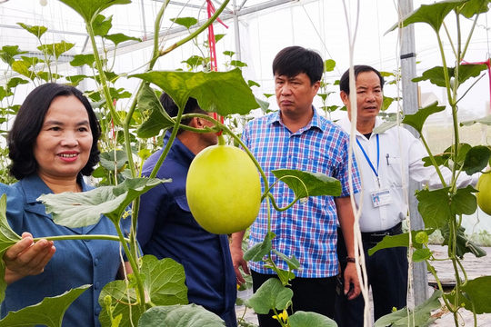 3 'chiêu' để hạn chế doanh nghiệp 'bẻ kèo', nông dân chạy làng