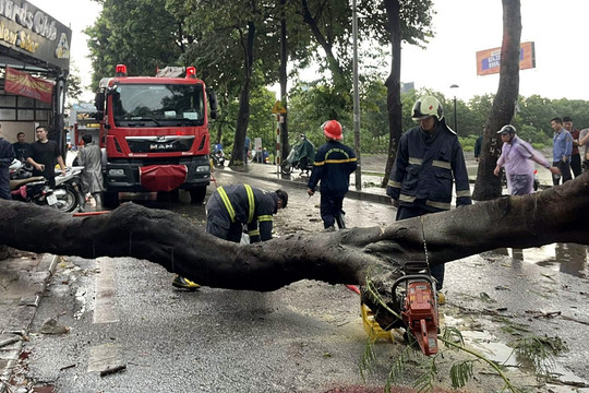 11 vụ cây đổ làm 2 người ở Hà Nội tử vong, khẩn cấp tránh ra đường