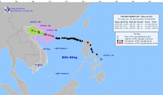 Bão số chuẩn bị vào đất liền, chuyên gia cảnh báo Hà Nội có gió giật mạnh