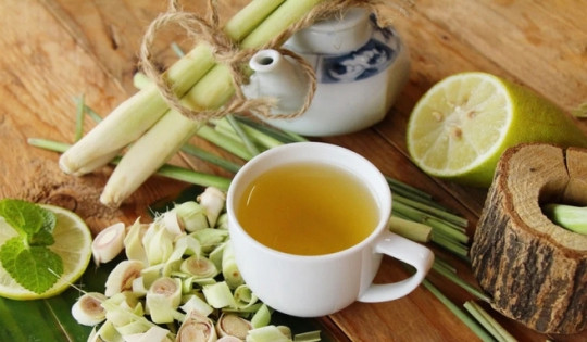 Uống nước từ loại cây quen thuộc này khiến tế bào ung thư tự tiêu hủy?