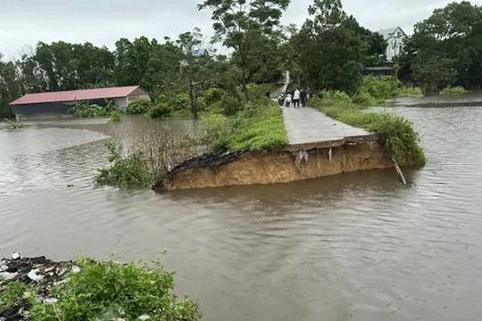 Hà Nội: Vỡ bờ bao Đầm Khoai tại huyện Sóc Sơn, nước tràn vào lúa và hoa màu