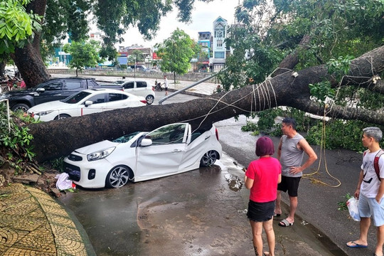 Bảo hiểm ghi nhận hơn 1.000 xe cơ giới bị tổn thất do Bão Yagi