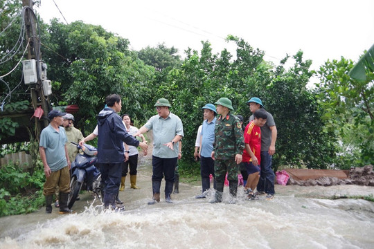 Hà Nội: Hàng trăm hecta lúa, hoa màu, cây cảnh Tết ngập trong nước lũ