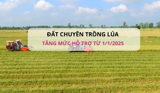 Từ 1/1/2025 sẽ tăng mức hỗ trợ đối với đất chuyên trồng lúa