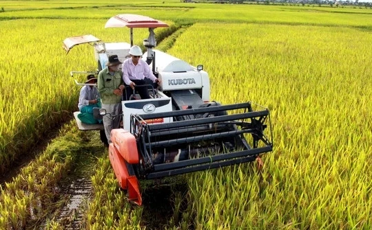 Cần điều kiện gì để trồng lúa giảm phát thải được hỗ trợ từ 5-15 tỷ đồng?